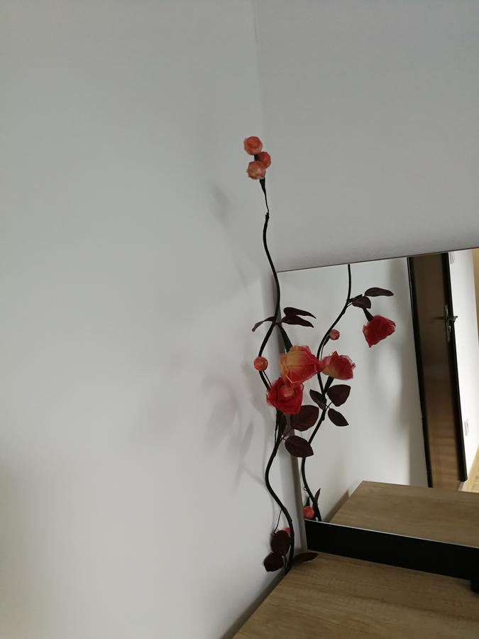 House Apartment Minerilor Cluj-Napoca Extérieur photo