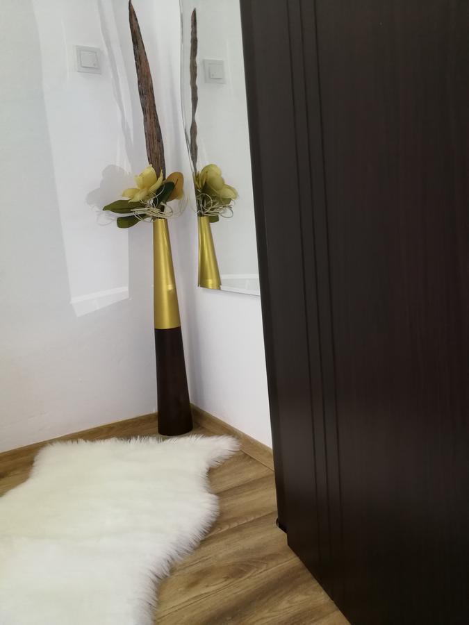 House Apartment Minerilor Cluj-Napoca Extérieur photo