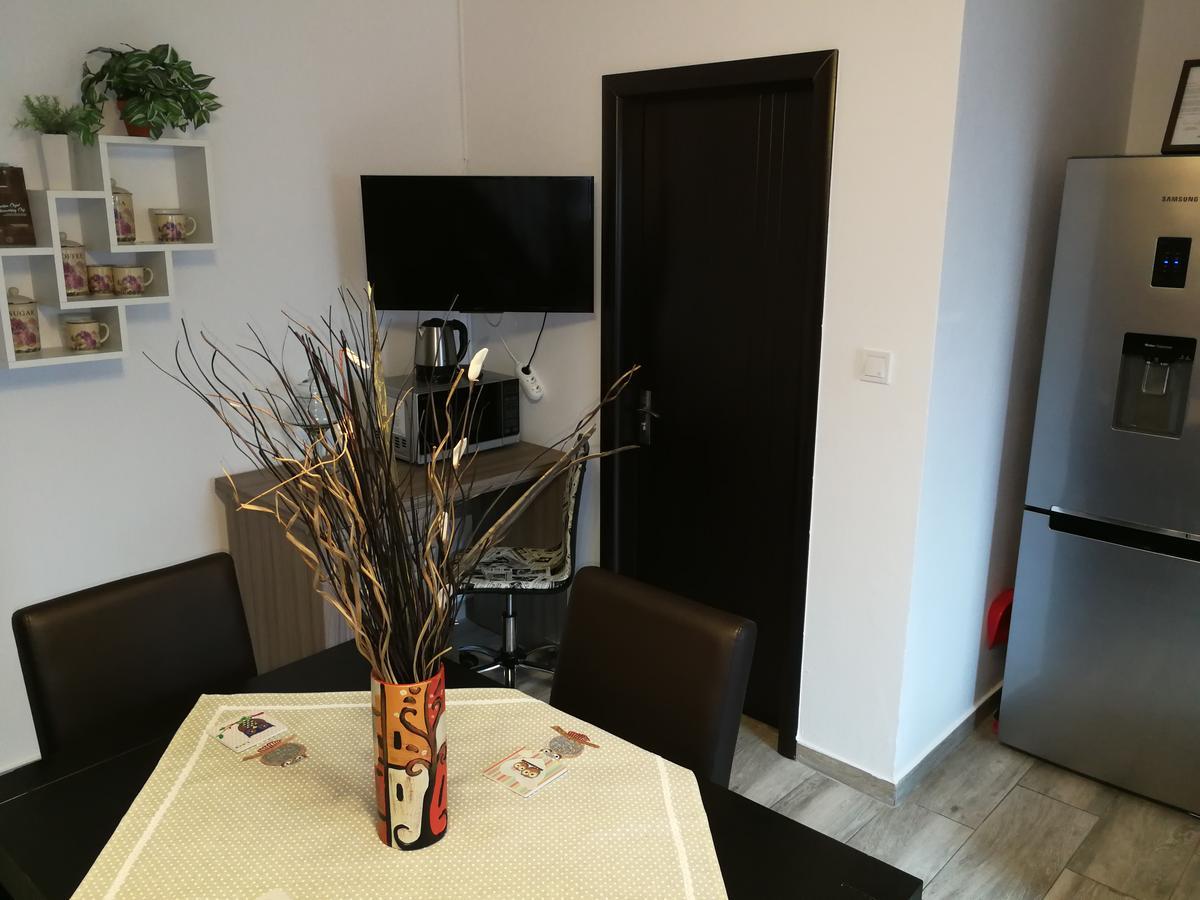 House Apartment Minerilor Cluj-Napoca Extérieur photo