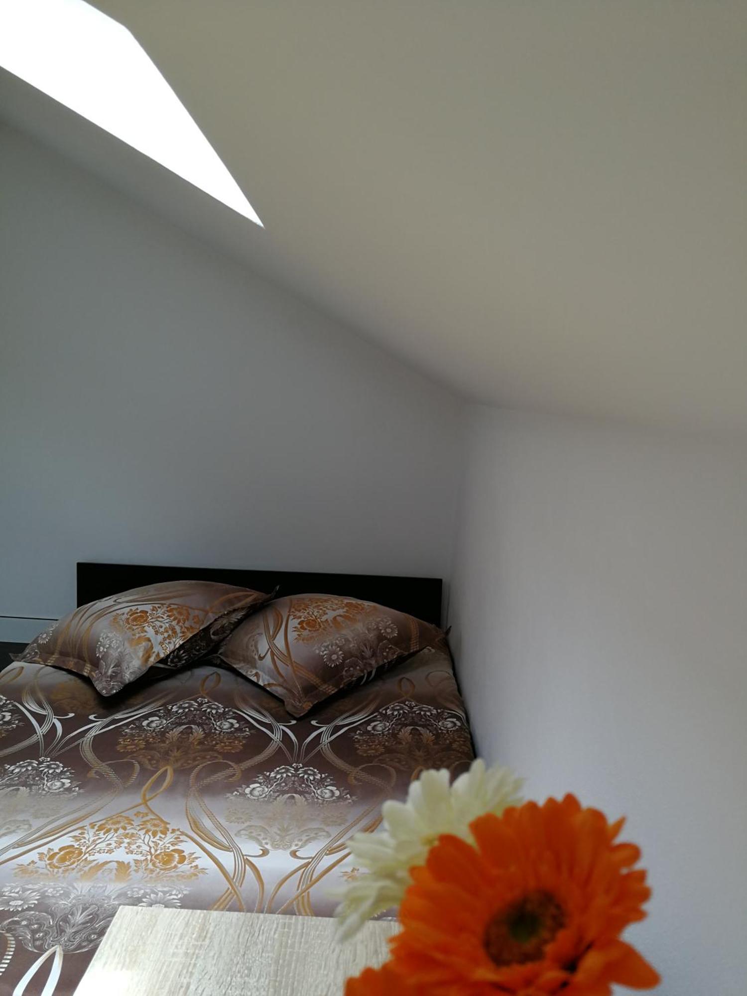 House Apartment Minerilor Cluj-Napoca Extérieur photo