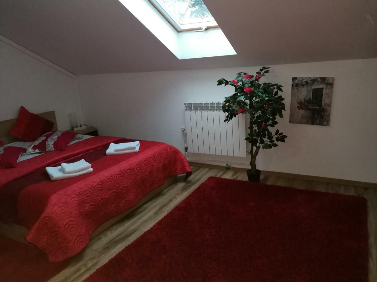 House Apartment Minerilor Cluj-Napoca Extérieur photo